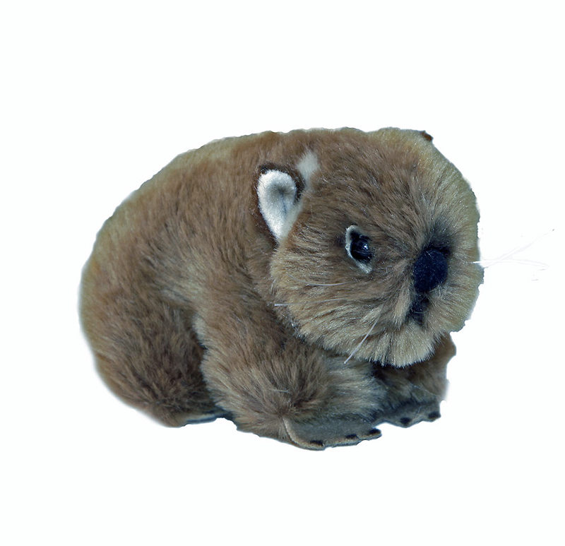 wombat webkinz