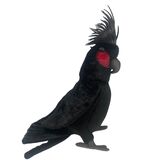 Black Palm Cockatoo Soft Toy - Hansa