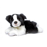 beanie boo border collie