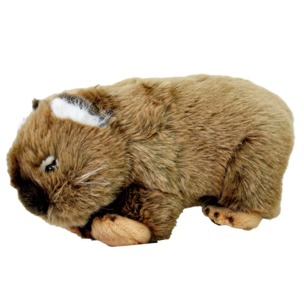 wombat teddy