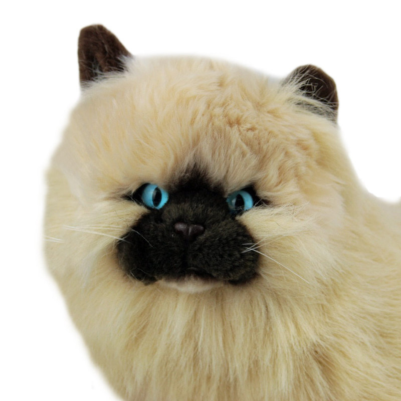 himalayan cat stuffed animal