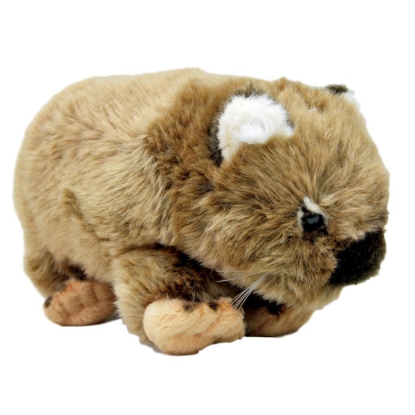 wombat stuffed