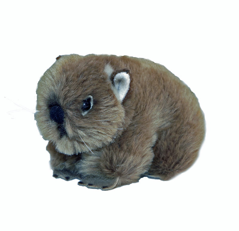 wombat stuffed