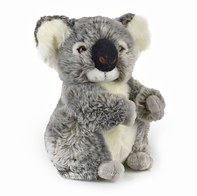 big w koala toy