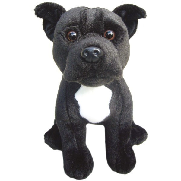 Staffordshire Bull Terrier Black Dog 