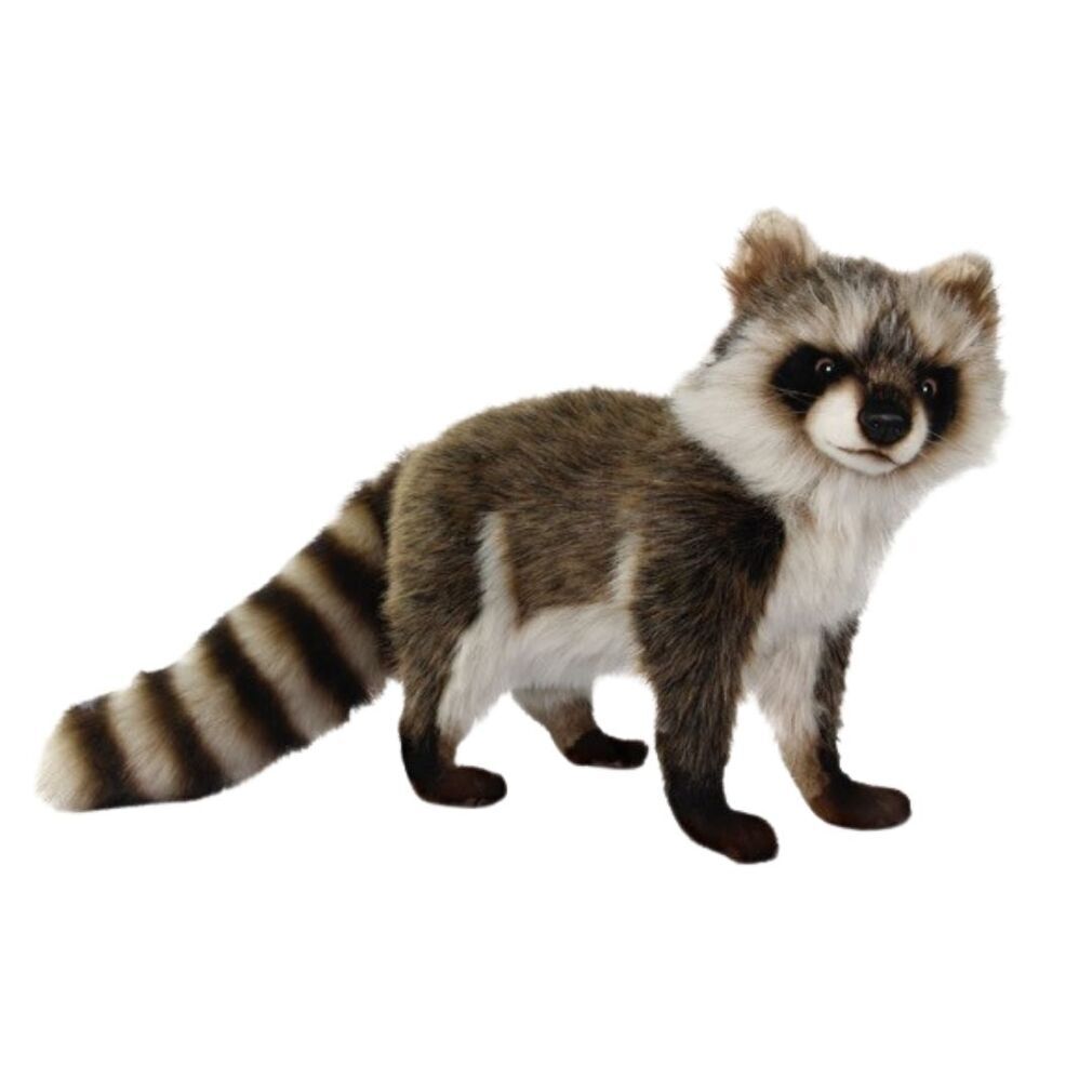 racoon soft toy