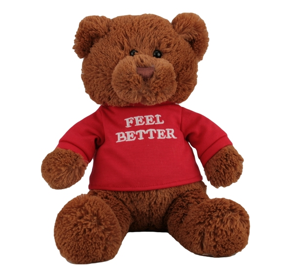 gund chocolate bear