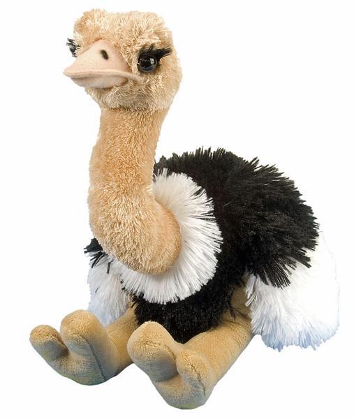Fjord Lenen compenseren Ostrich Soft Plush Toy - Wild Republic