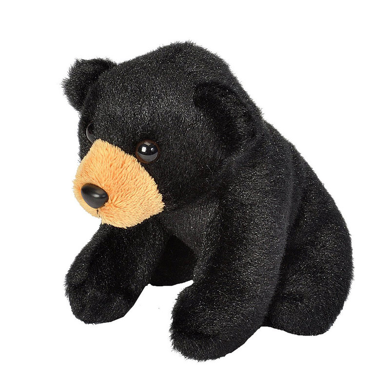 black stuffed bear