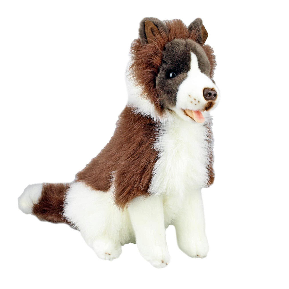 toy collie
