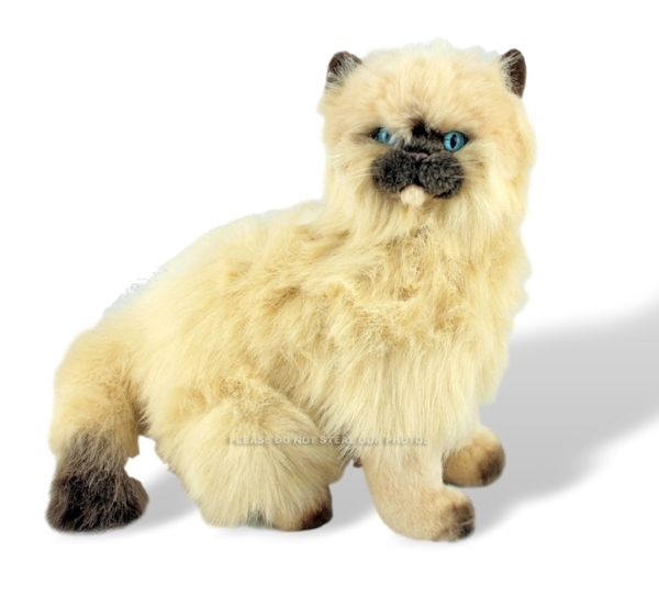 himalayan cat stuffed animal