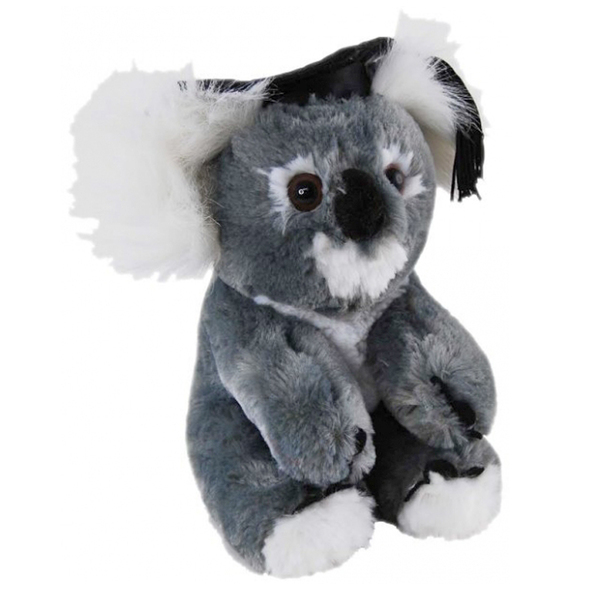 koala stuffed animal