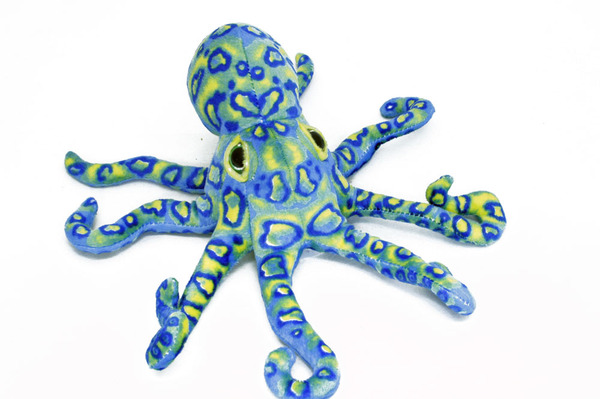 Octopus Blue Ringed Aquatic soft plush toys stuffed animal 12