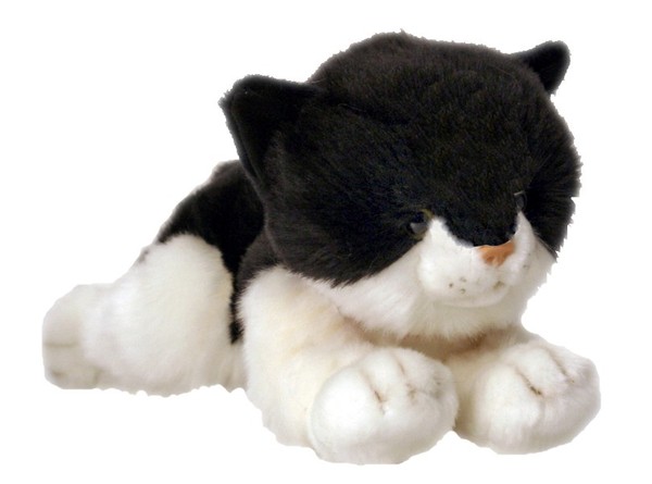 white kitten stuffed animal