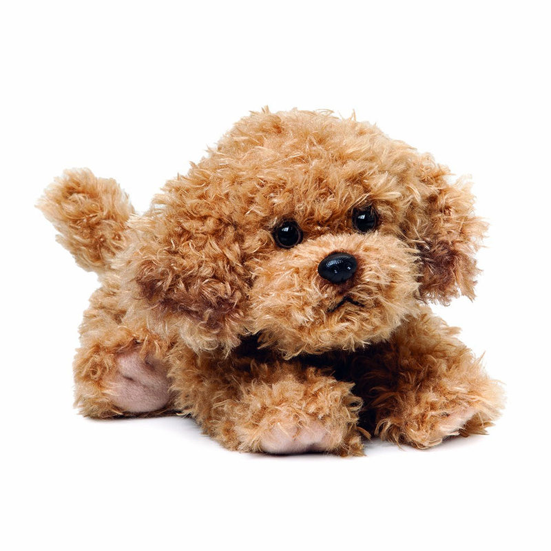 Labradoodle Labrador cross Poodle Soft Plush Toymedium 