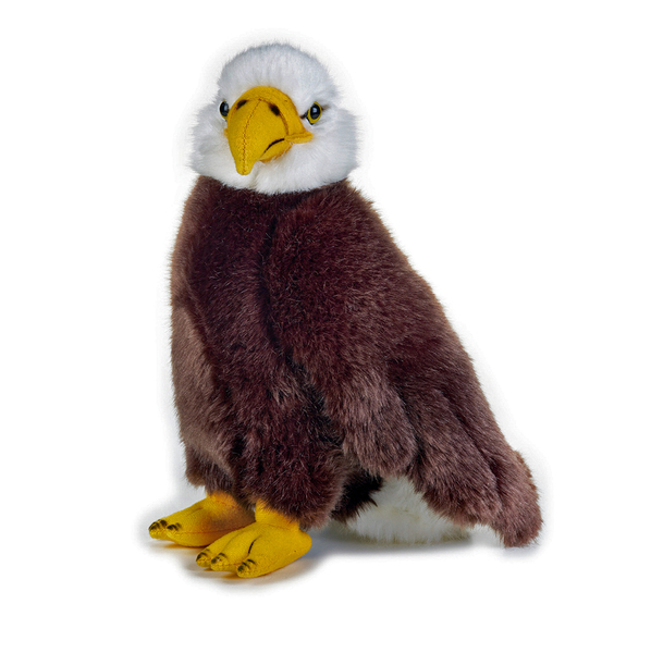 stuffed bald eagle