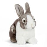 Grey Pet Rabbit Plush Toy  - Living Nature