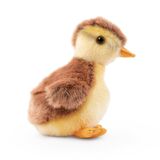 Mallard Duckling Soft Toy Small - Living Nature