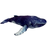 Humphrey Humpback Whale Soft Toy - Huggable