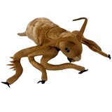 Weta Cricket Soft Toy - Cuddlekins Eco - Wild Republic