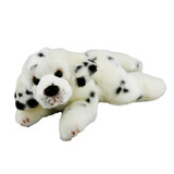 miniature teddy bear dog