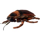 Cockroach Soft Toy - Huggable