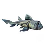 Port Jackson Shark Quincy Plush Toy - Huggable