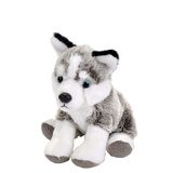 Pocketkins Eco Husky Dog Small - Wild Republic